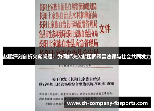 赵鹏深刻剖析欠薪问题：为何解决欠薪困局亟需法律与社会共同发力