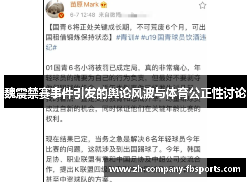 魏震禁赛事件引发的舆论风波与体育公正性讨论