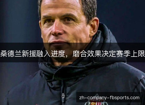 桑德兰新援融入进度,磨合效果决定赛季上限 桑德兰新援融入进度,磨合效果决定赛季上限